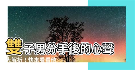 雙子分手後|跟雙子男分手後，你需要知道的事情 – 星語軌跡 讓星星告訴你星。